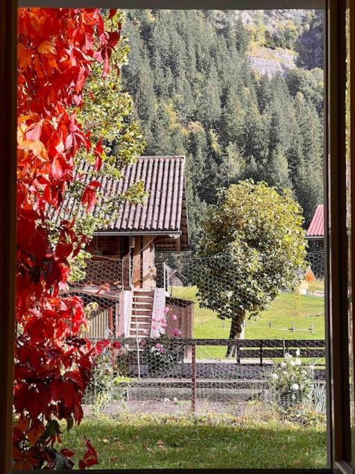 Appartamento Wesley House Kandersteg