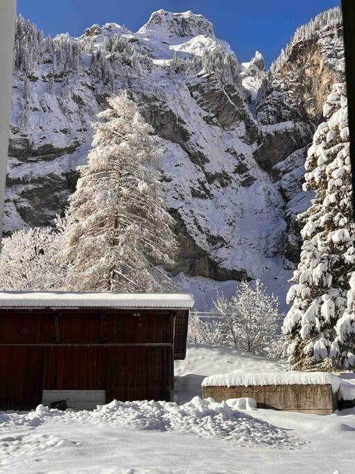 अपार्टमेंट Wesley House Kandersteg